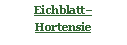 Textfeld: Eichblatt– Hortensie
