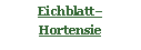 Textfeld: Eichblatt Hortensie